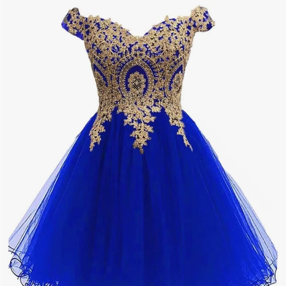 Royal Blue and Gold Embroidered Dress